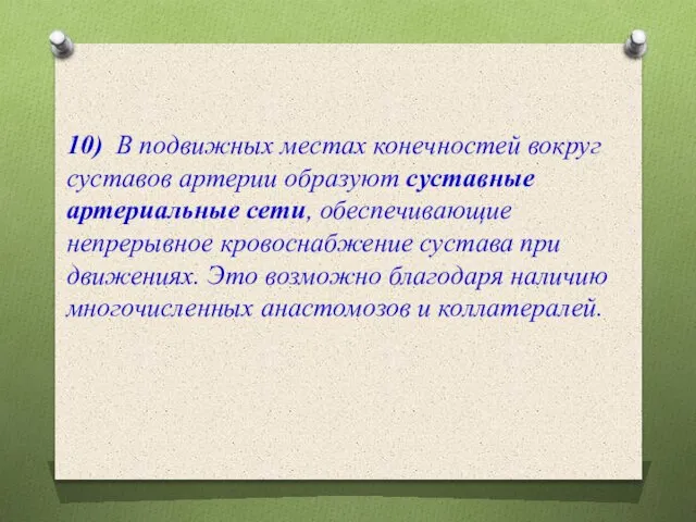 10) В подвижных местах конечностей вокруг суставов артерии образуют суставные артериальные сети,