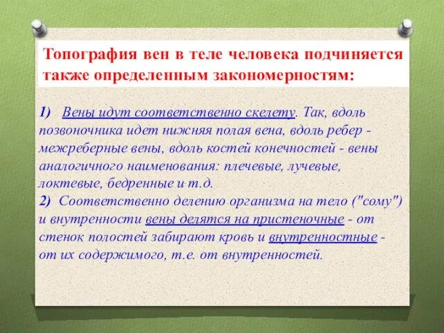 1) Вены идут соответственно скелету. Так, вдоль позвоночника идет нижняя полая вена,