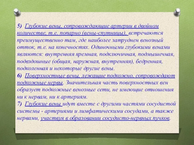 5) Глубокие вены, сопровождающие артерии в двойном количестве, т.е. попарно (вены-спутницы), встречаются