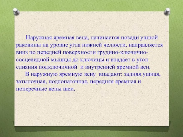 Наружная яремная вена, начинается позади ушной раковины на уровне угла нижней челюсти,