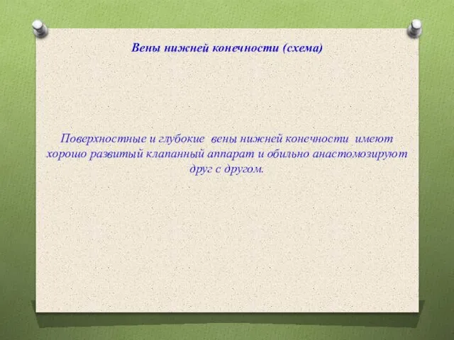 Вены нижней конечности (схема) Поверхностные и глубокие вены нижней конечности имеют хорошо