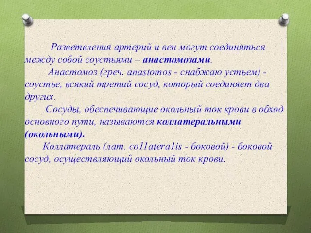 Разветвления артерий и вен могут соединяться между собой соустьями – анастомозами. Анастомоз