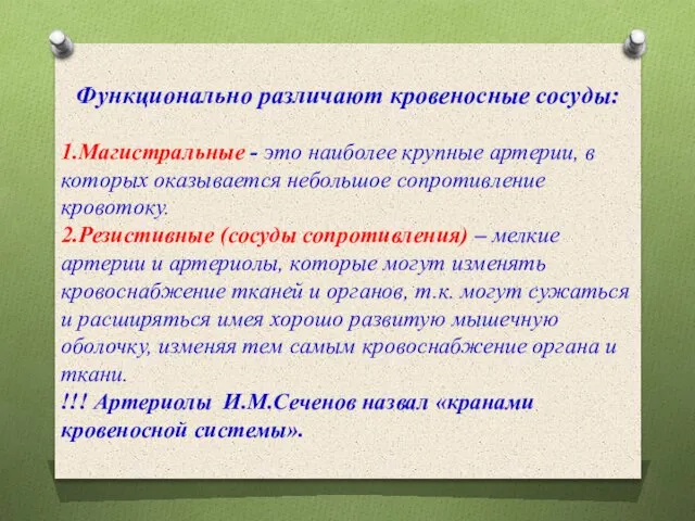 Функционально различают кровеносные сосуды: 1.Магистральные - это наиболее крупные артерии, в которых