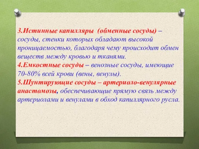 3.Истинные капилляры (обменные сосуды) – сосуды, стенки которых обладают высокой проницаемостью, благодаря