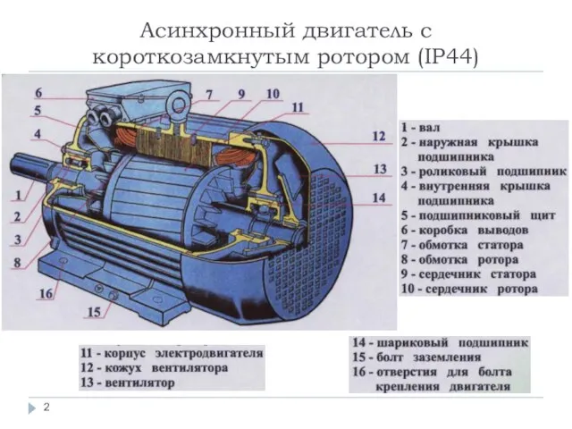 Асинхронный двигатель с короткозамкнутым ротором (IP44)