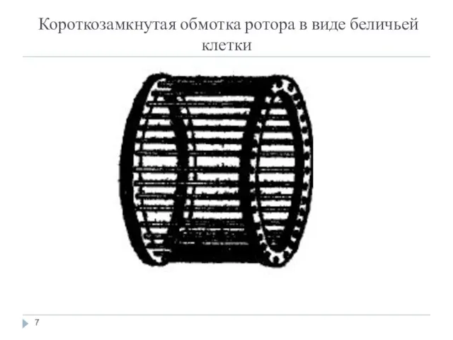 Короткозамкнутая обмотка ротора в виде беличьей клетки