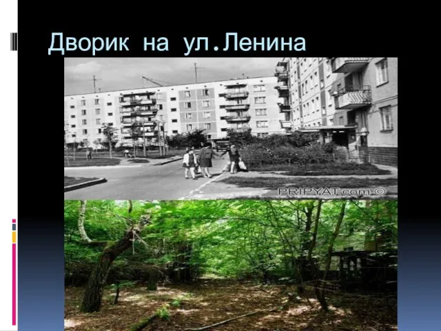 Дворик на ул.Ленина