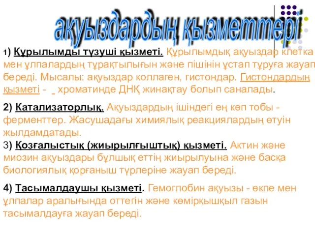 ақуыздардың қызметтері 1) Құрылымды түзуші қызметі. Құрылымдық ақуыздар клетка мен ұлпалардың тұрақтылығын