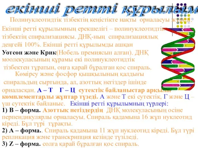 Полинуклеотидтік тізбектің кеңістікте нақты орналасуы жүреді. Екінші ретті құрылымның ерекшелігі – полинуклеотидтік