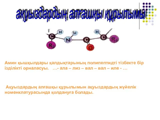 ақуыздардың алғашқы құрылымы Амин қышқылдары қалдықтарының полипептидті тізбекте бір ізділікті орналасуы. …-