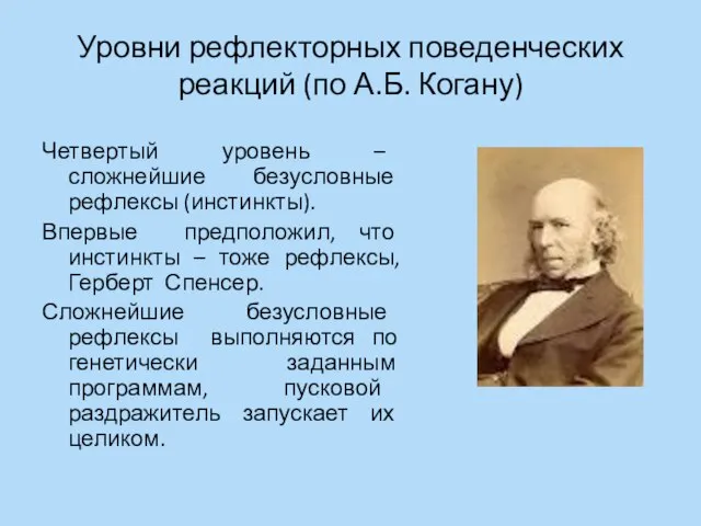 Уровни рефлекторных поведенческих реакций (по А.Б. Когану) Четвертый уровень – сложнейшие безусловные