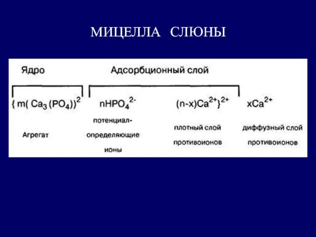 МИЦЕЛЛА СЛЮНЫ