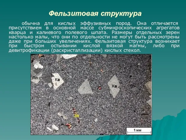 Фельзитовая структура обычна для кислых эффузивных пород. Она отличается присутствием в основной