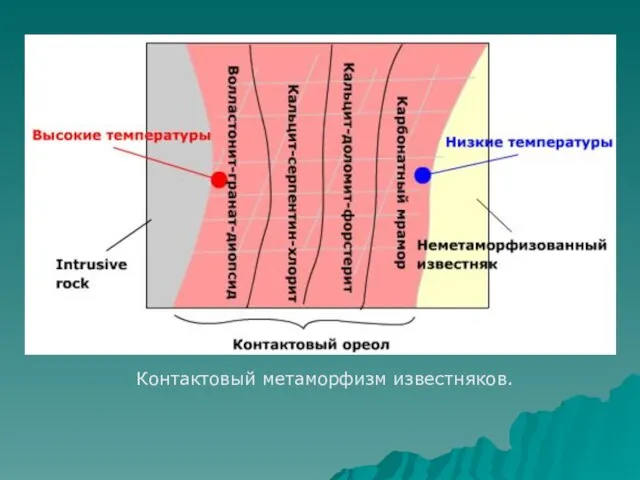 Контактовый метаморфизм известняков.