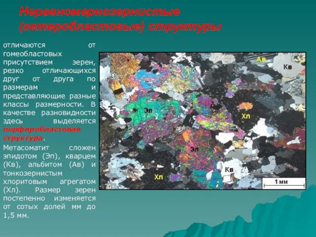 Неравномернозернистые (гетеробластовые) структуры отличаются от гомеобластовых присутствием зерен, резко отличающихся друг от
