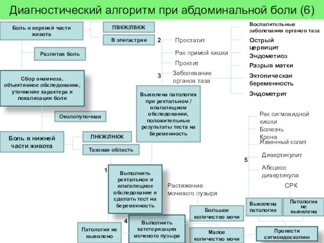 Диагностический алгоритм при абдоминальной боли (6) Боль в верхней части живота Разлитая