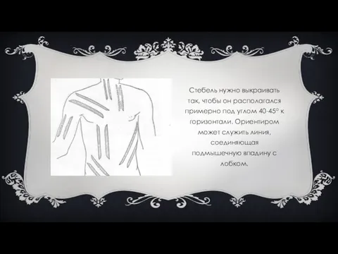 Стебель нужно выкраивать так, чтобы он располагался примерно под углом 40-45о к