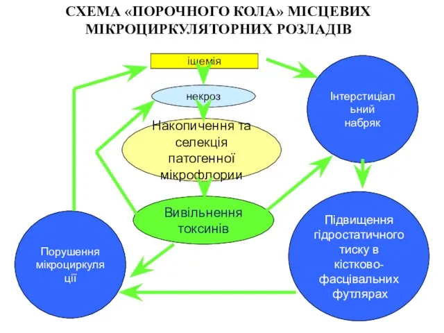 ішемія некроз Накопичення та селекція патогенної мікрофлории Вивільнення токсинів Порушення мікроциркуляції Інтерстиціальний