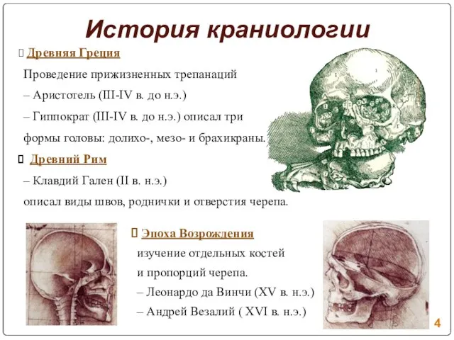 История краниологии Древняя Греция Проведение прижизненных трепанаций – Аристотель (III-IV в. до