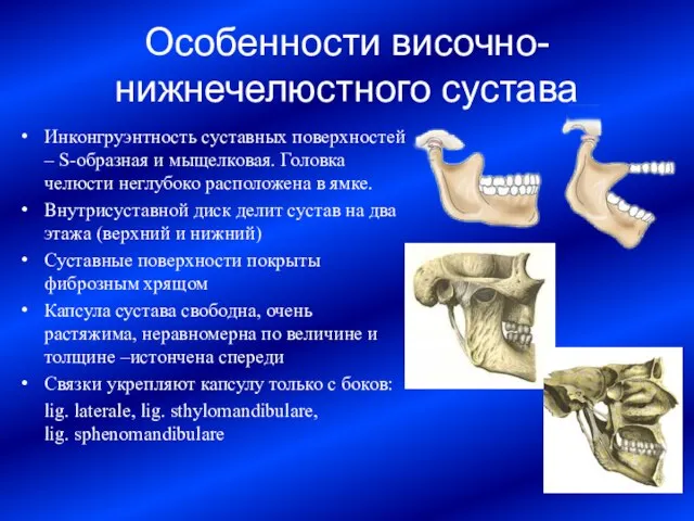 Особенности височно-нижнечелюстного сустава Инконгруэнтность суставных поверхностей – S-образная и мыщелковая. Головка челюсти