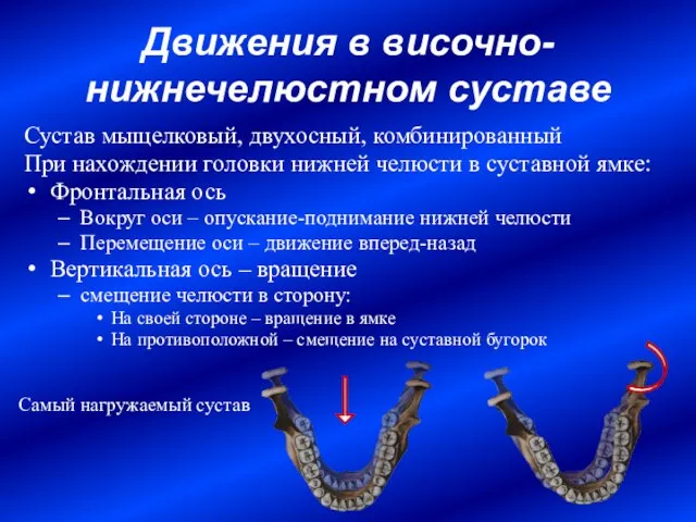 Движения в височно-нижнечелюстном суставе Сустав мыщелковый, двухосный, комбинированный При нахождении головки нижней