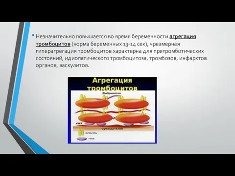 Незначительно повышается во время беременности агрегация тромбоцитов (норма беременных 13-14 сек), чрезмерная