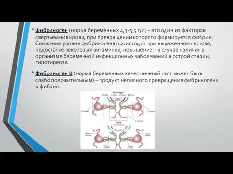 Фибриноген (норма беременных 4,3-5,5 г/л) – это один из факторов свертывания крови,