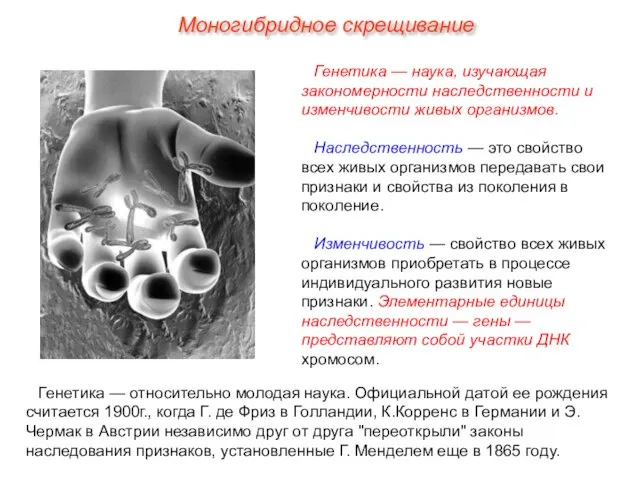 Генетика — наука, изучающая закономерности наследственности и изменчивости живых организмов. Наследственность —