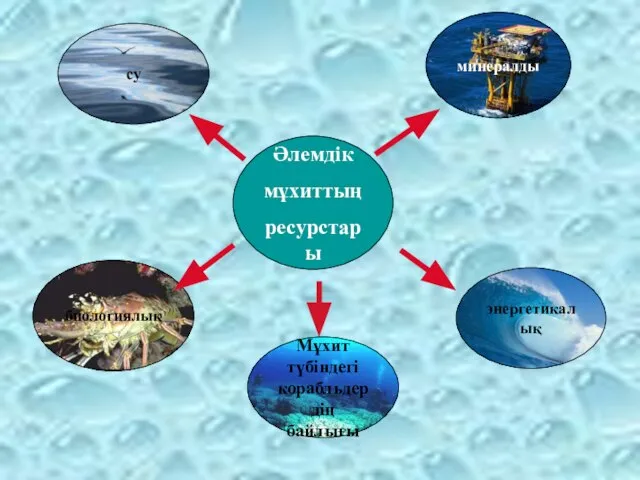 Әлемдік мұхиттың ресурстары биологиялық су минералды энергетикалық Мұхит түбіндегі корабльдердің байлығы