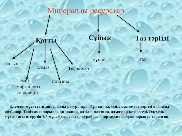 Минералды ресурстар Қатты Сұйық Газ тәрізді алтын алмаз Темір марганецті конкреция платина