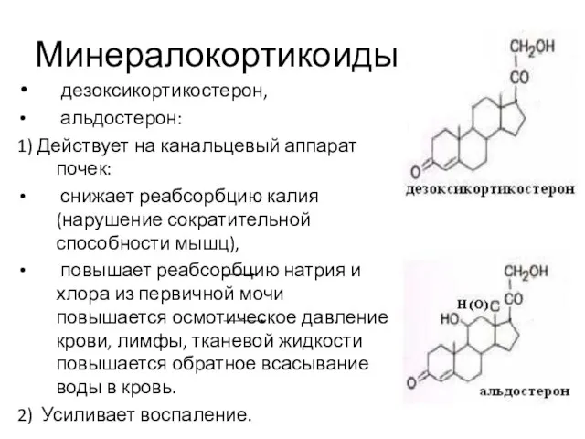Минералокортикоиды дезоксикортикостерон, альдостерон: 1) Действует на канальцевый аппарат почек: снижает реабсорбцию калия