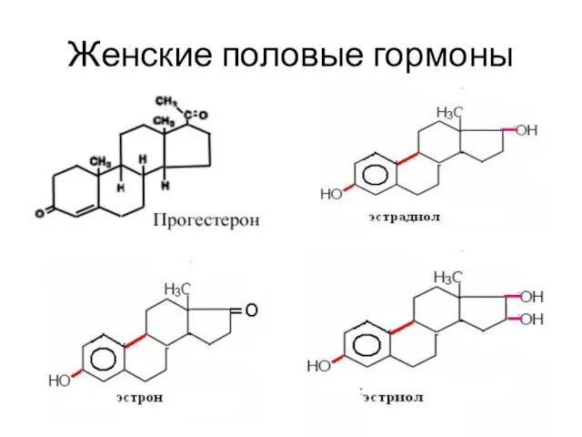 Женские половые гормоны