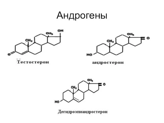 Андрогены