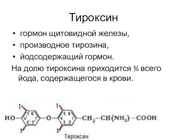 Тироксин гормон щитовидной железы, производное тирозина, йодсодержащий гормон. На долю тироксина приходится