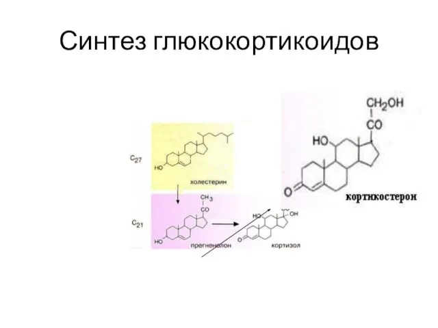 Синтез глюкокортикоидов