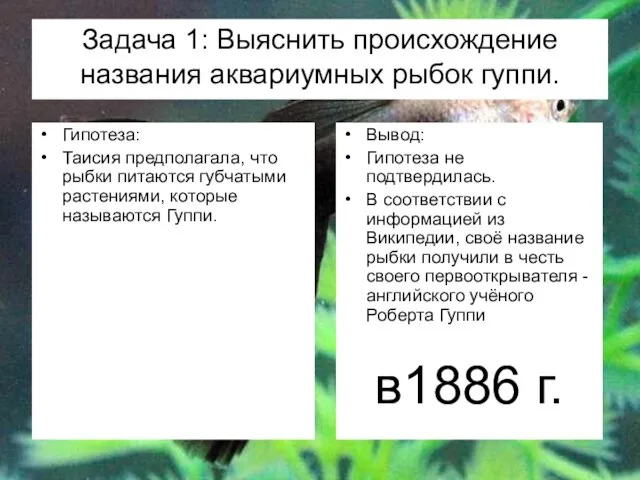 Задача 1: Выяснить происхождение названия аквариумных рыбок гуппи. Вывод: Гипотеза не подтвердилась.