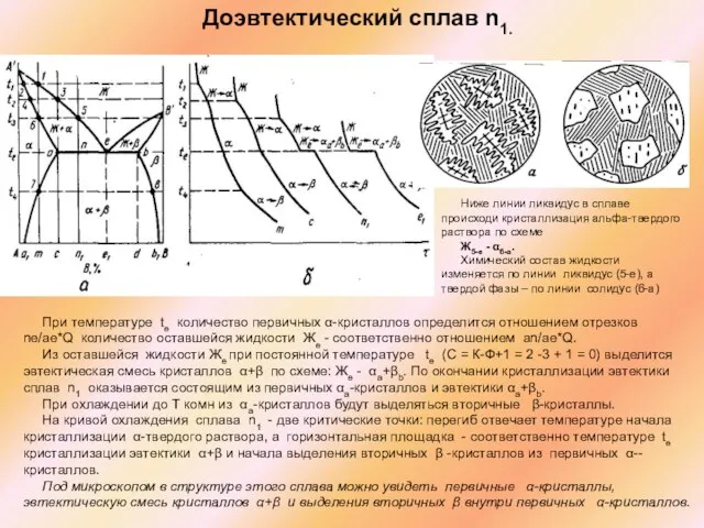 Доэвтектический сплав n1. При температуре te количество первичных α-кристаллов определится отношением отрезков