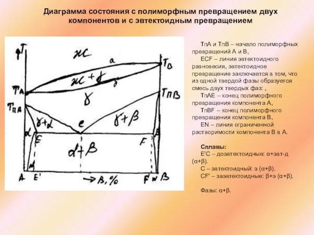 Диаграмма состояния с полиморфным превращением двух компонентов и с эвтектоидным превращением ТпА