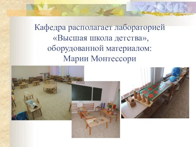 Кафедра располагает лабораторией «Высшая школа детства», оборудованной материалом: Марии Монтессори