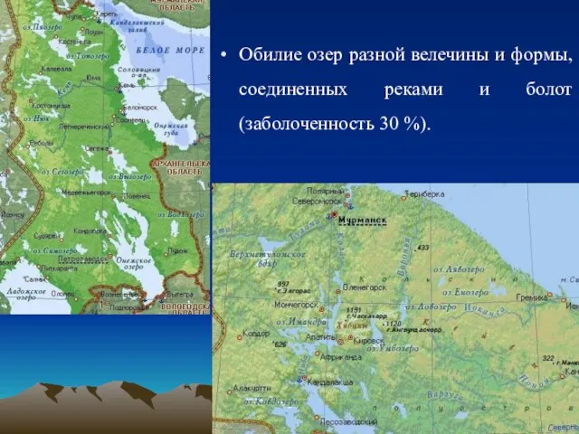 Обилие озер разной велечины и формы, соединенных реками и болот (заболоченность 30 %).