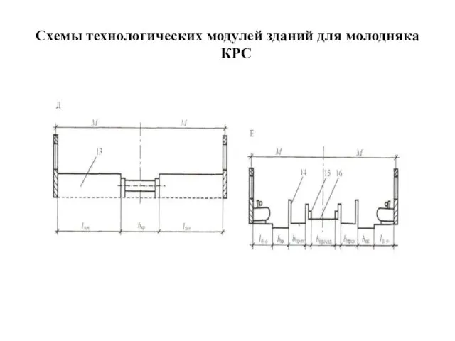 Схемы технологических модулей зданий для молодняка КРС