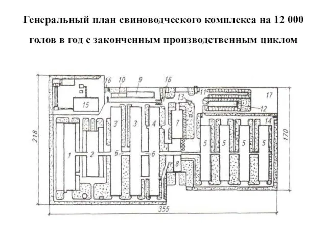 Генеральный план свиноводческого комплекса на 12 000 голов в год с законченным производственным циклом