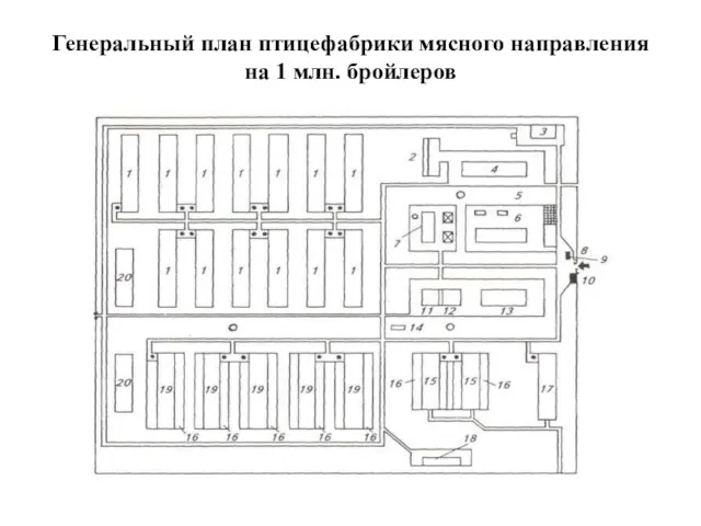 Генеральный план птицефабрики мясного направления на 1 млн. бройлеров