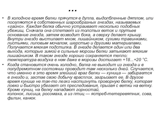 … В холодное время белки прячутся в дупла, выдолбленные дятлом, или поселяются