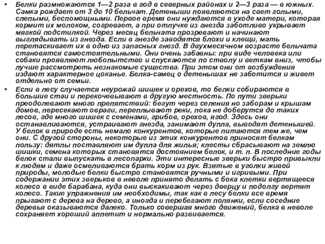 Белки размножаются 1—2 раза в год в северных районах и 2—3 раза