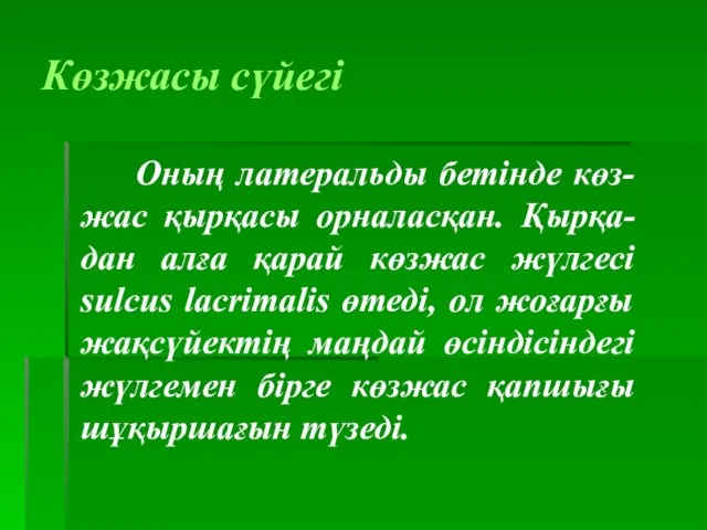 Көзжасы сүйегі Оның латеральды бетінде көз-жас қырқасы орналасқан. Қырқа-дан алға қарай көзжас