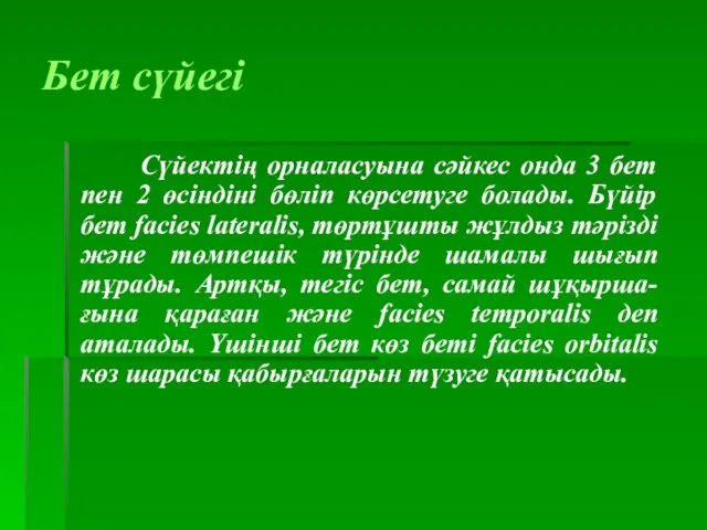 Бет сүйегі Сүйектің орналасуына сәйкес онда 3 бет пен 2 өсіндіні бөліп