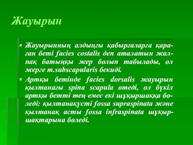 Жауырын Жауырынның алдыңғы қабырғаларға қара-ған беті facies costalis деп аталатын жал-пақ батыңқы