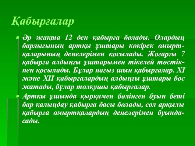 Қабырғалар Әр жақта 12 ден қабырға болады. Олардың барлығының артқы ұштары көкірек