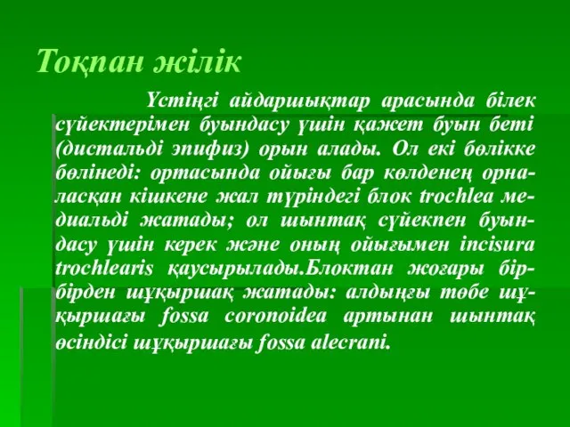 Тоқпан жілік Үстіңгі айдаршықтар арасында білек сүйектерімен буындасу үшін қажет буын беті